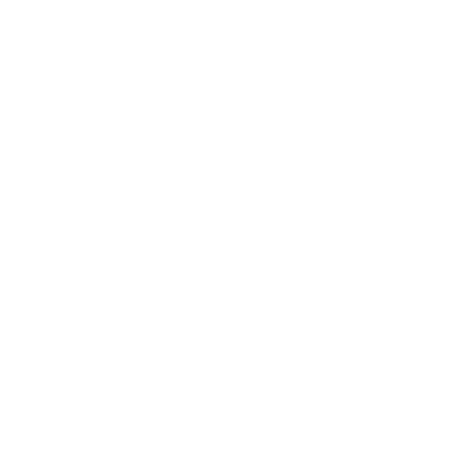 Rio Carnaval